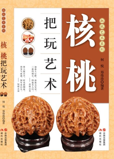 核桃把玩艺术 (把玩艺术系列09(共20册))