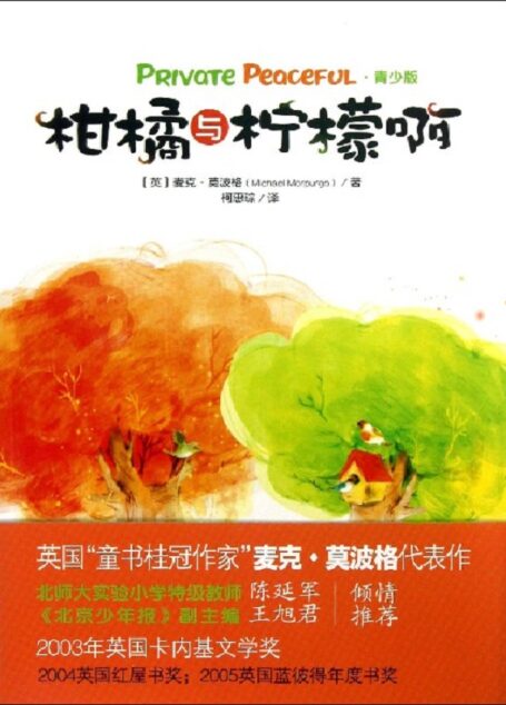 柑橘与柠檬啊1