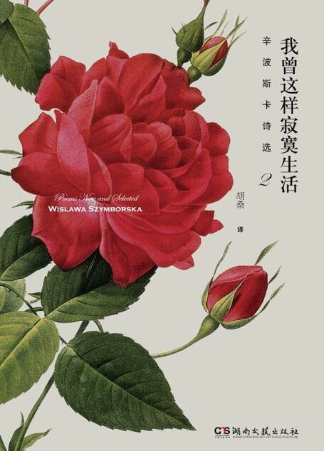 我曾这样寂寞生活