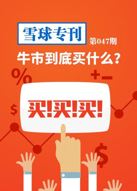 雪球专刊第047期——牛市到底买什么?