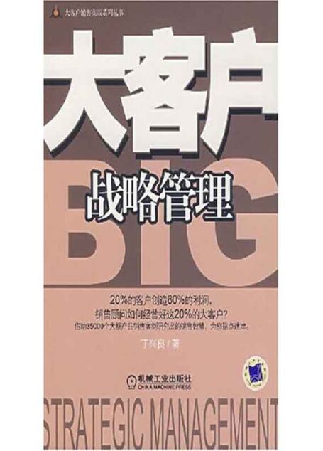 大客户战略管理 (大客户销售系列丛书)