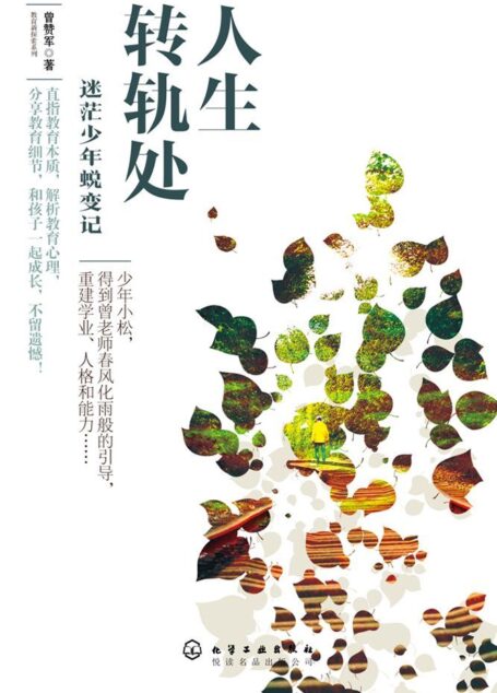 人生转轨处:迷茫少年蜕变记 (教无定法,贵在得法!超越“爱和自由”,直击教育本质!)