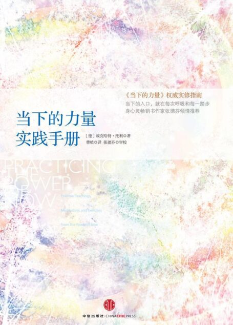 当下的力量实践手册
