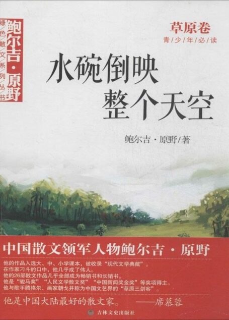 水碗倒映整个天空 (鲍尔吉·原野绿色散文系列丛书)
