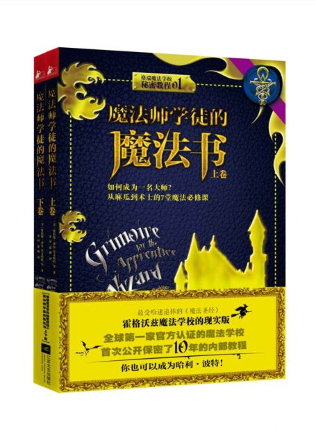 魔法师学徒的魔法书(如何成为一名大师?从麻瓜到术士的7堂魔法必修课)