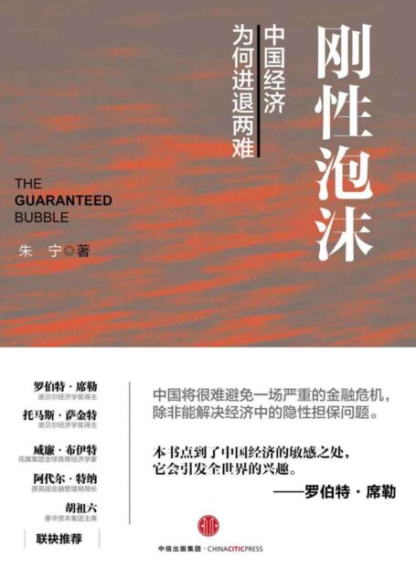 刚性泡沫:中国经济为何进退两难