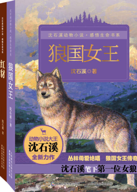 沈石溪动物小说感悟生命书系4册套装（《狼国女王》、《红豺》、《雪域豹影》、《五彩龙鸟》）