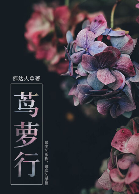 茑萝行