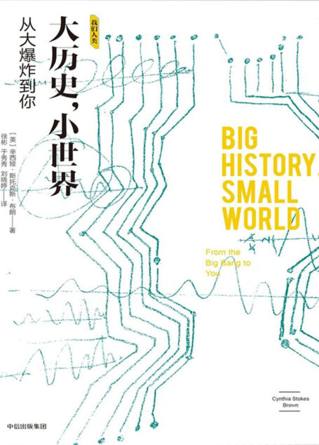 大历史,小世界:从大爆炸到你