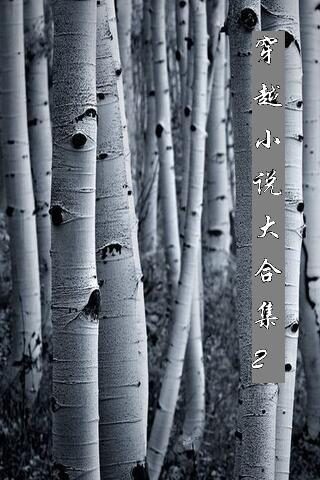 穿越小说合集2