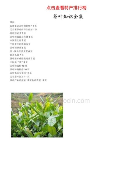 茶叶知识全集