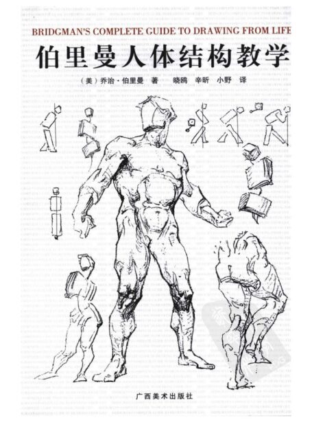 伯里曼人体结构教学