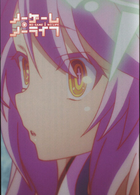 NO GAME NO LIFE BD VOL.05 特典小説