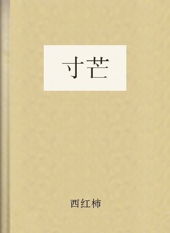 寸芒