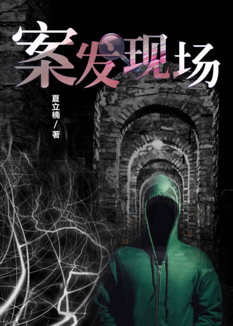 案发现场(合集)(令人窒息的现代悬疑之作!)