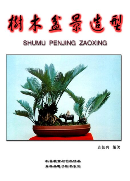《树木盆景造型》