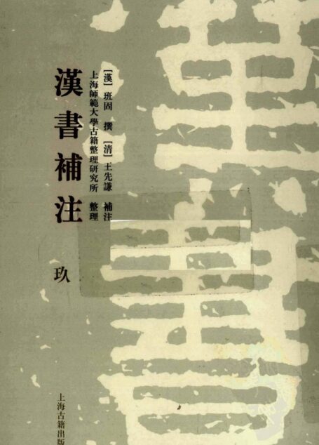 [清]王先谦-汉书补注（第玖册）（上海古籍出版社2008）