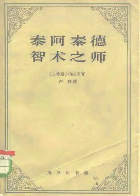 泰阿泰德 智术之师