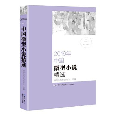 2019年中国微型小说精选