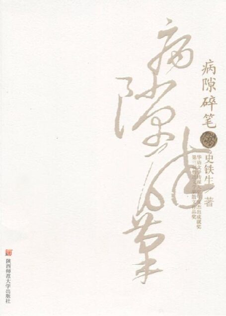 病隙碎笔(修订版)