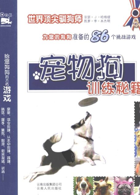 宠物狗训练笔记