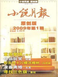 2008 原创版 小说月报全年 上