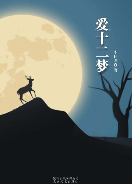 爱十二梦