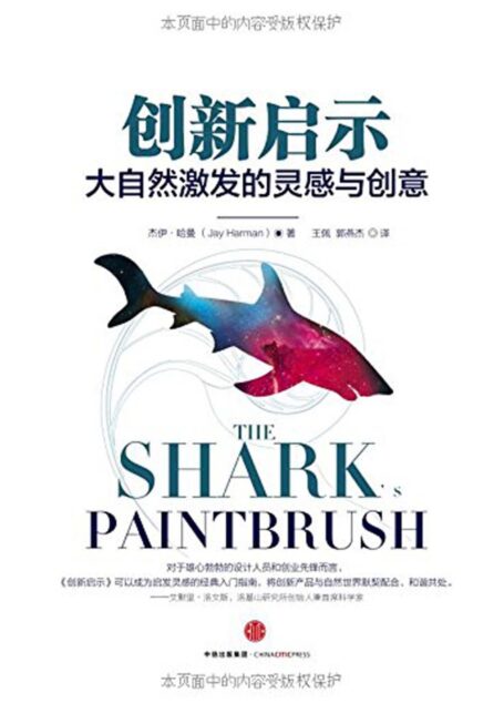 创新启示:大自然激发的灵感与创意
