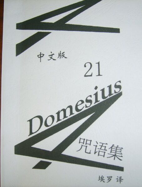 Domesius21条咒语 中文版