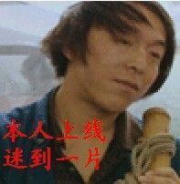 不曾放纵的青春