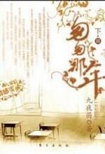 匆匆那年(下)