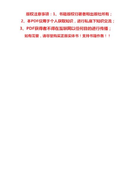 成为技术领导者 掌握全面解决问题的方法