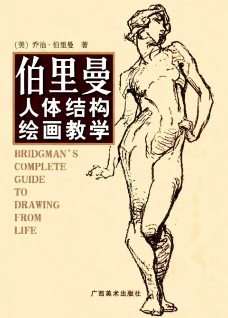 伯里曼人体结构绘画教学