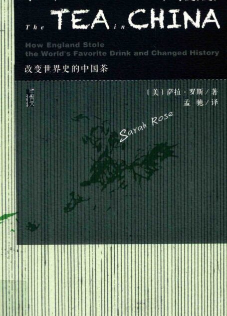 茶叶大盗