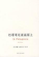 巴塔哥尼亚高原上