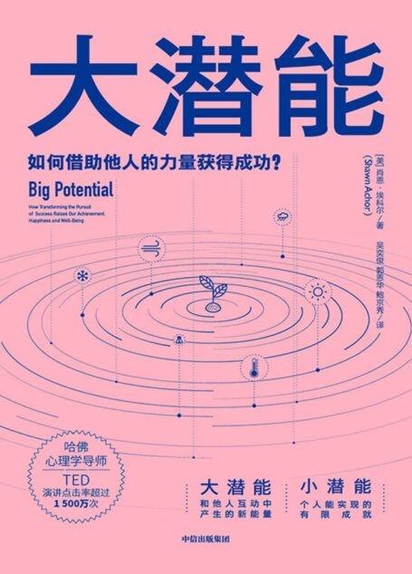 大潜能（如何借助他人的力量获得成功，一本书颠覆关于潜能的认知！写给所有处于瓶颈期的个人和企业）