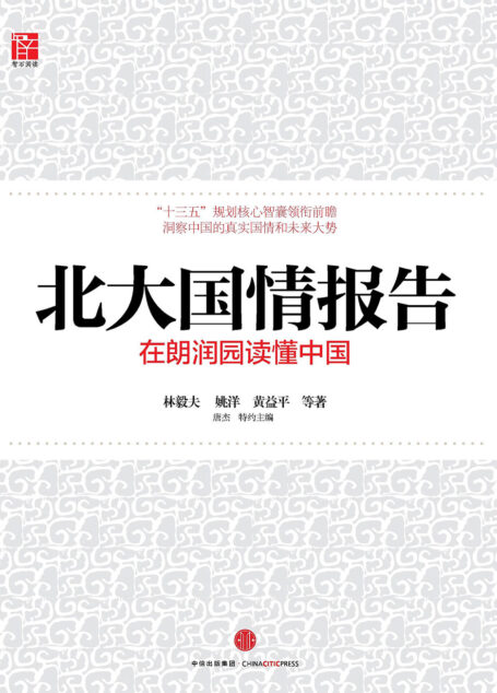 北大国情报告