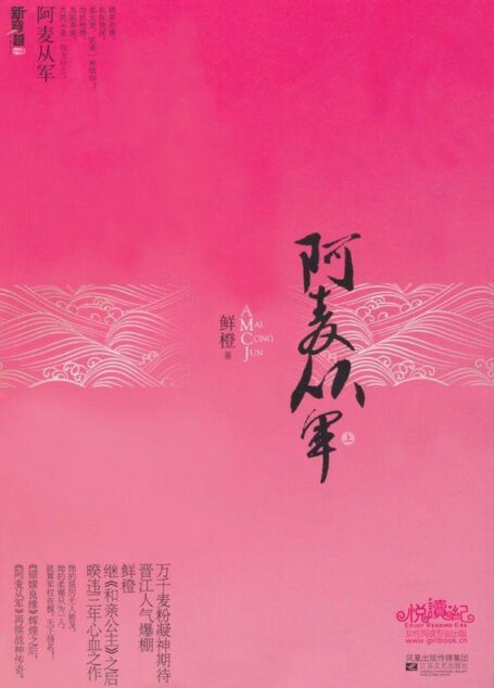 阿麦从军(上下) (新穿越小说)