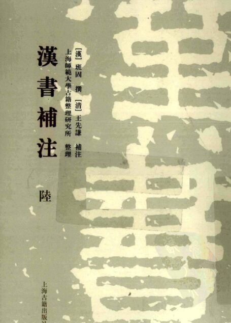 [清]王先谦-汉书补注（第陆册）（上海古籍出版社2008）