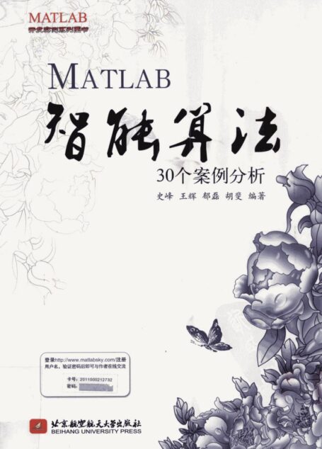 MATLAB智能算法30个案例分析