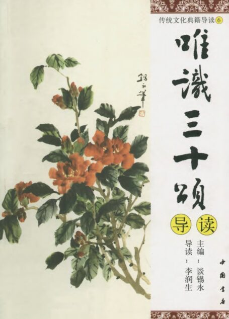 [传统文化典籍导读丛书：06.唯识三十颂导读].谈锡永主编.扫描版