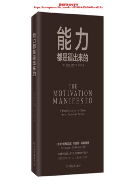 Dootclever-web889515能力都是逼出来的 (美 布兰登·伯查德 著, 王冬佳 译, 中国友谊出版公司)