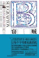 B:窃贼