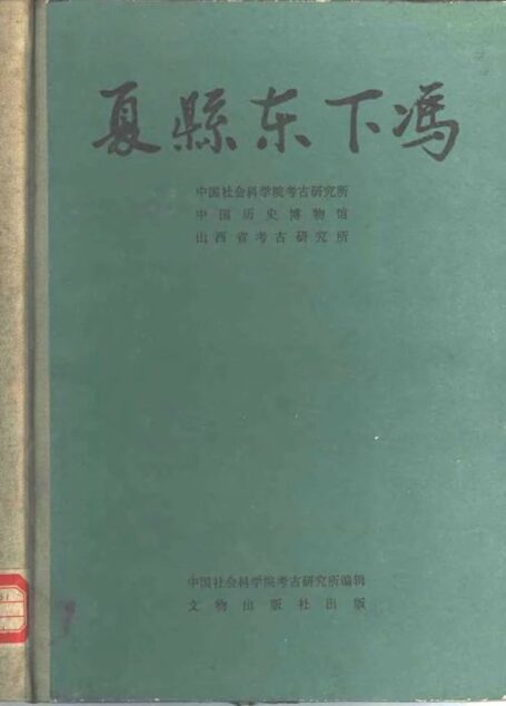35.丁種第三十五:夏县东下冯 1988 FB.262.52【传送门】