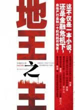 地王之王:这不仅仅是一本小说