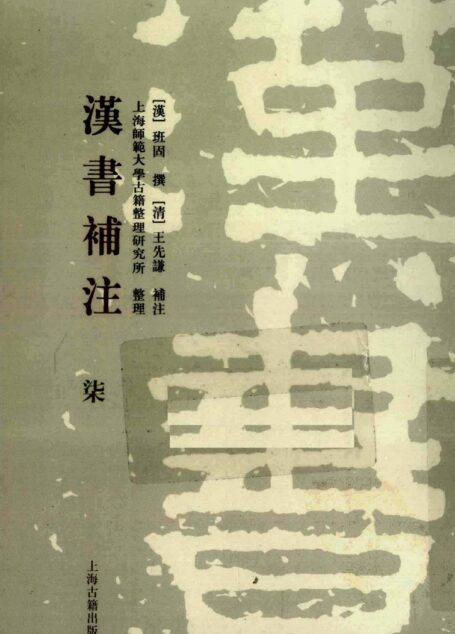 [清]王先谦-汉书补注（第柒册）（上海古籍出版社2008）
