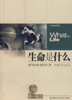 《生命是什么》封面