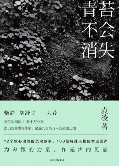 青苔不会消失