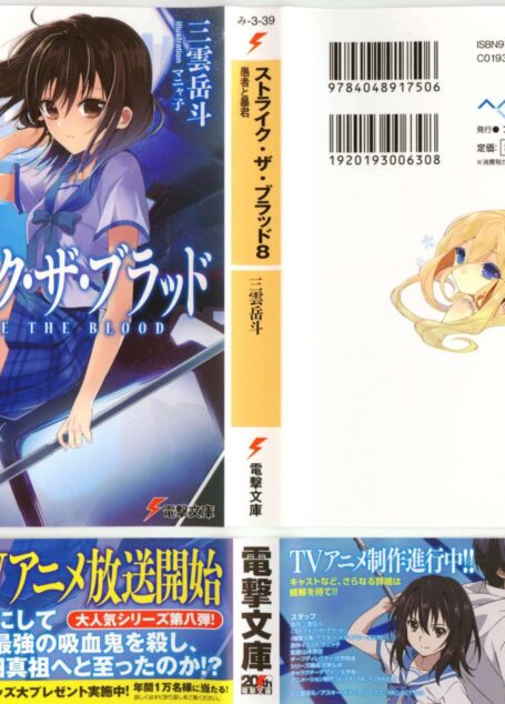 噬血狂袭 strike the blood 第八卷 愚者和暴君