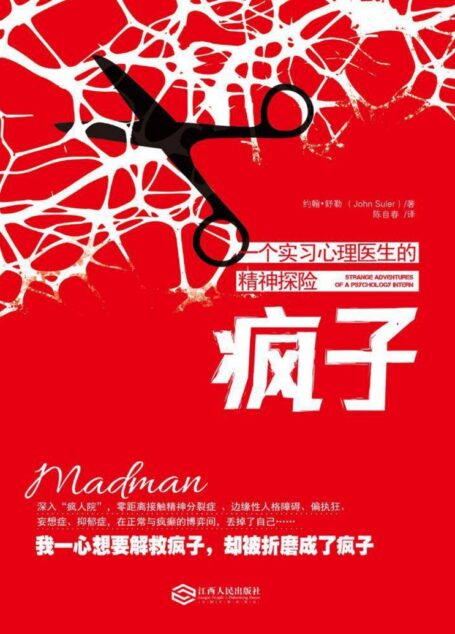 疯子:一个实习心理医生的精神探险 (精神分析心理小说)